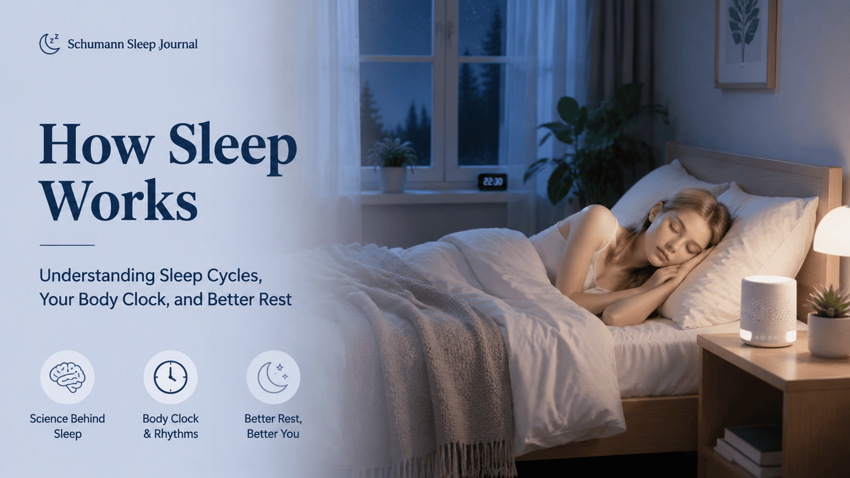 How Sleep Works The Science Behind Sleep