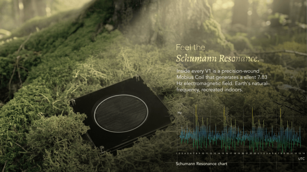 schumann sleep