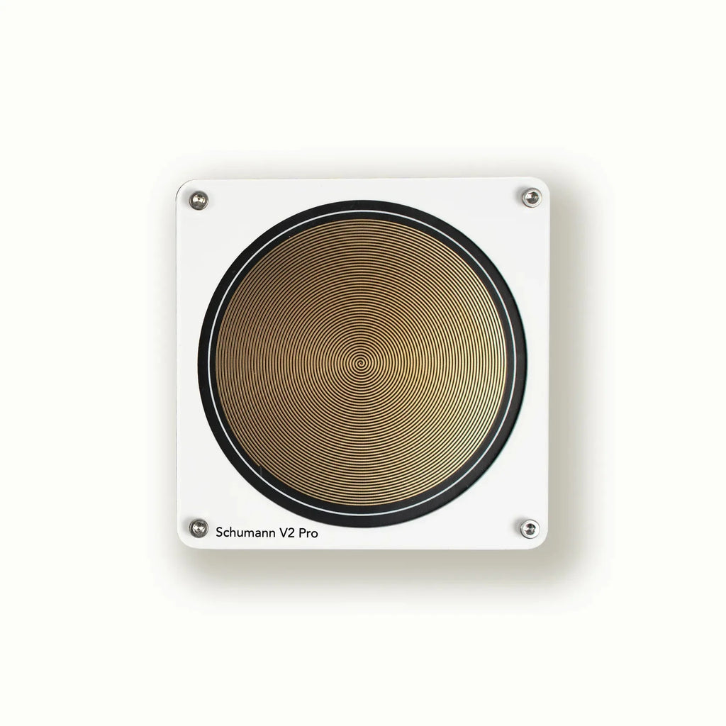 V2 Pro